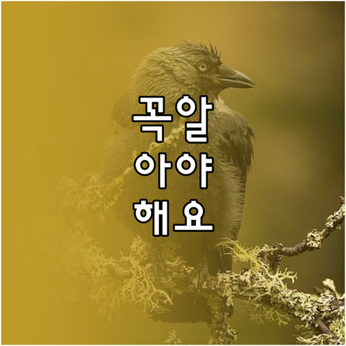 조원동 쓰레기 배출 궁금증 해결 질문과 답변