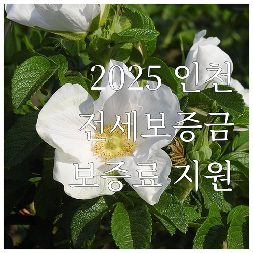 2025 인천 전세보증금 보증료 지원 꼭 확인하세요 신청 기간 안내
