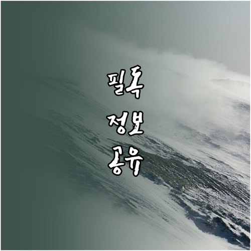 울산 효문동 깨끗한 환경 올바른 쓰레기 분리 배출