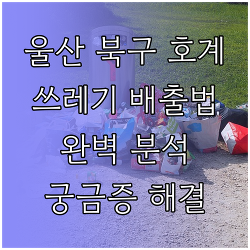 울산 북구 호계동 쓰레기 배출법 완벽 분석