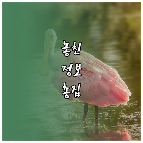 부모라면 꼭! 육아휴직급여 자격 요건과 혜택 A to Z