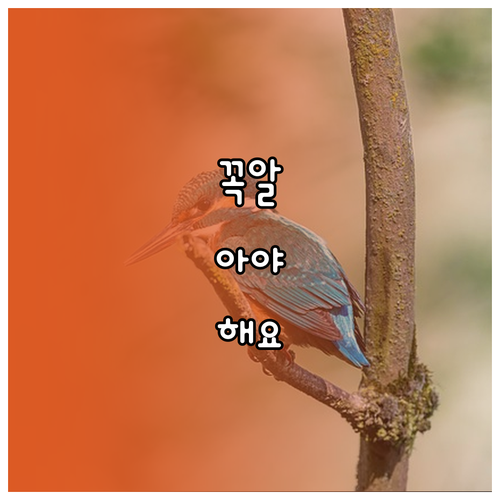 산청군 학생 필독 한국장학재단 이자 지원 받는 법