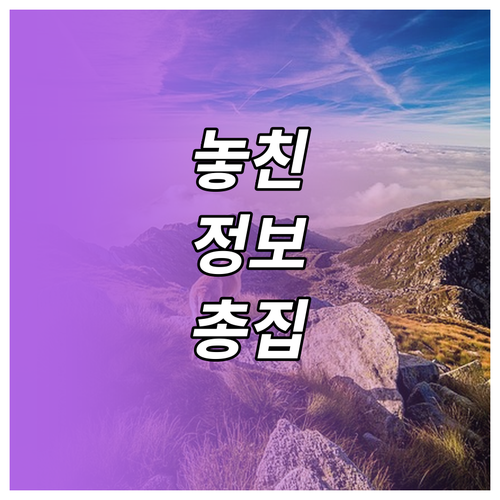이목동 대형 폐기물, 현명하게 버리는 인터넷 신고법