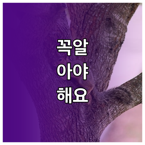 송정동 재활용의 가치를 높이는 분리수거 팁과 원칙