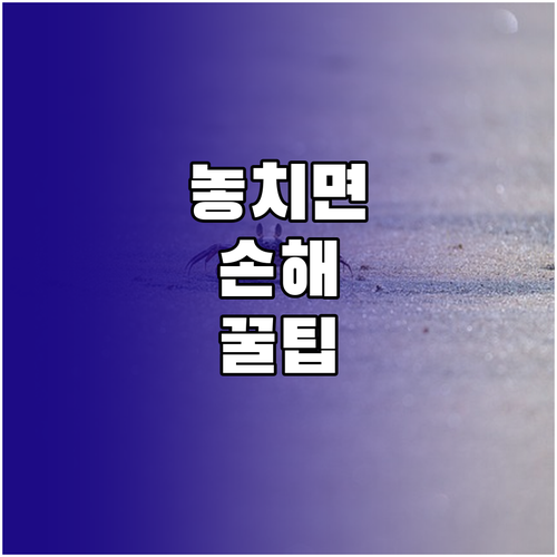 화봉동 분리수거 궁금증 해결 올바른 실천 방법