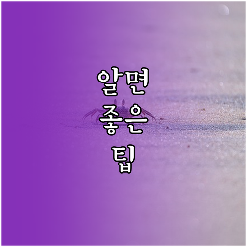 2025년 하반기 계룡시 학자금 이자지원 총정리