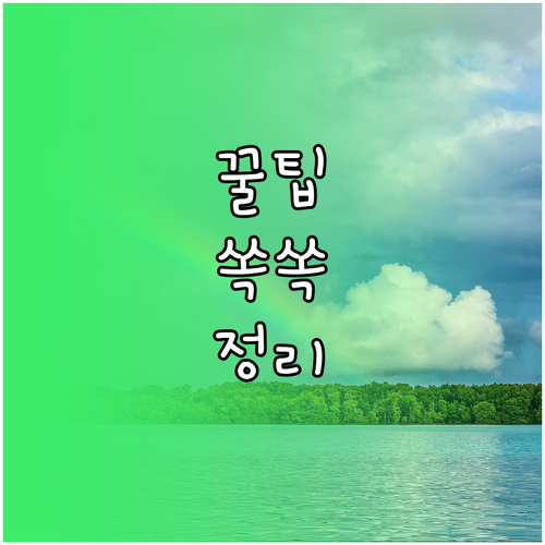 세종 어진동 깨끗한 거리 만들기 쓰레기 배출 요일과 방법 완벽 분석