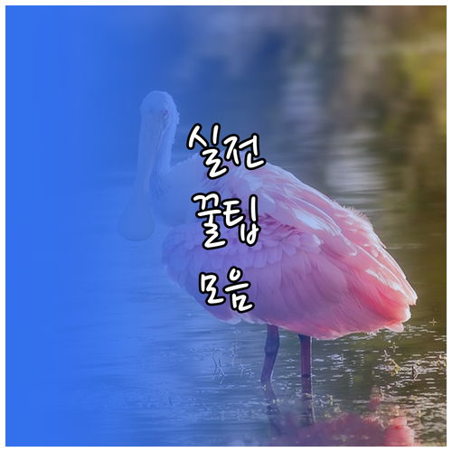 황성동 쓰레기 버리는 시간? 날짜? 헷갈림 끝내는 법