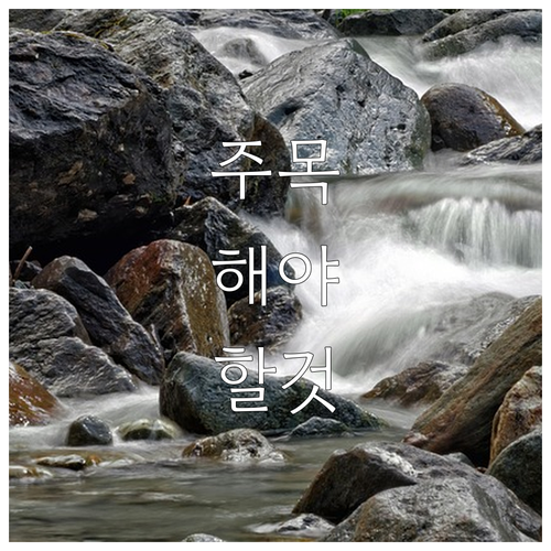2025 스포츠 강좌 이용권 지원금 및 신청 핵심