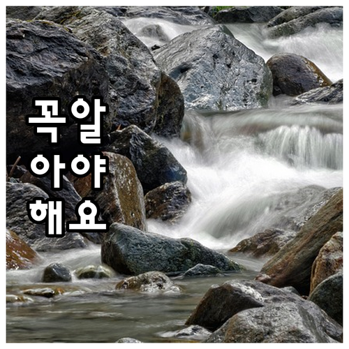 2025 광주상생카드 두 가지 타입 신청 준비물 쉽게 확인
