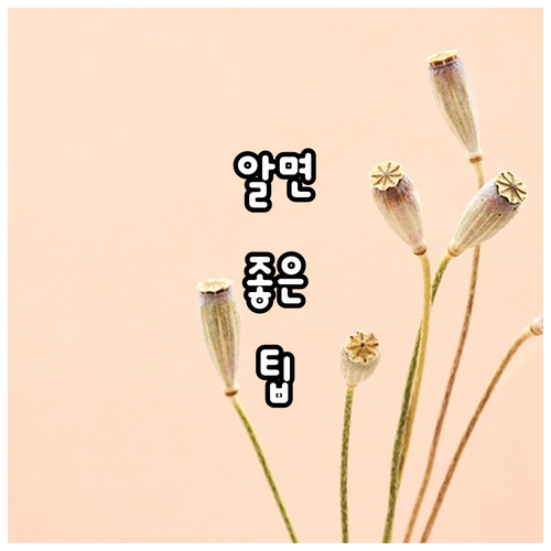 2025 문화유산 관람료 감면 총정리 핵심 정보