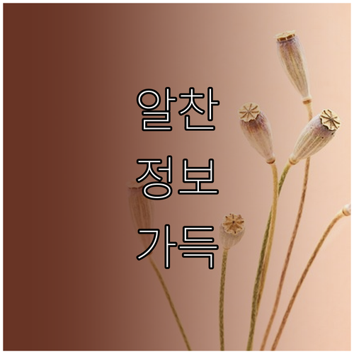 대구 용산동 대형폐기물, 과태료 없이 스마트하게 버리는 팁