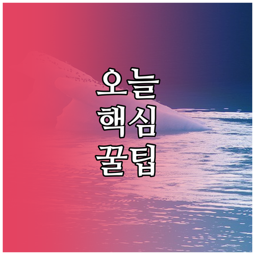 깨끗한 두류동 대형폐기물 올바른 배출 요령