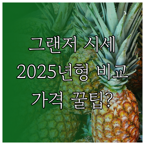 2025 그랜저 중고차 시세, 캘리그래피 vs 익스클루시브 가격 비교