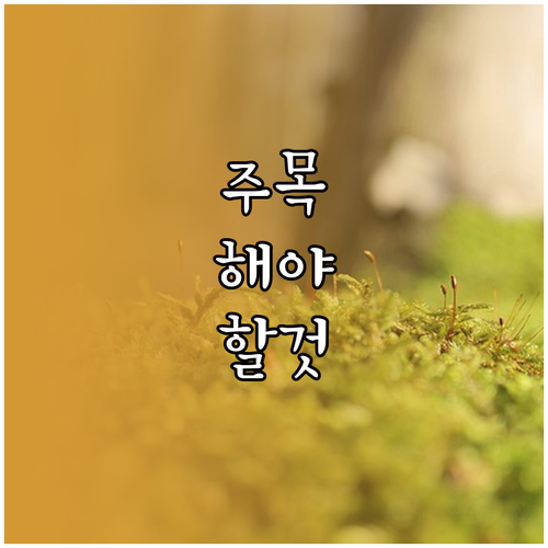 대구 수성구 대형폐기물 올바른 배출로 과태료 피하기