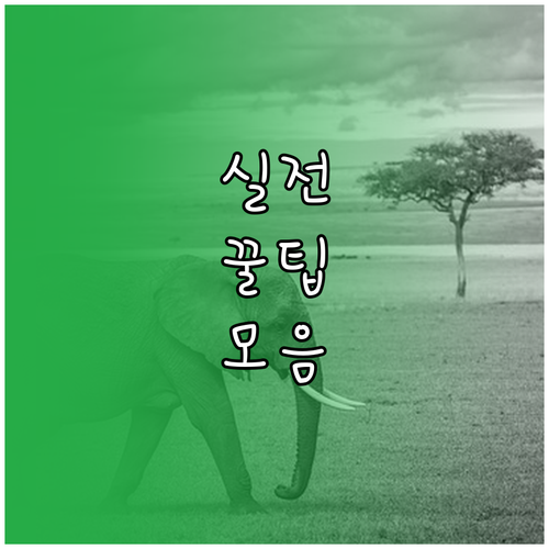 대구 동구 대형폐기물 배출 인터넷 스티커로 간편 해결