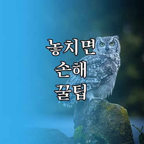 대구 동구 대형폐기물 공식 처리법 온라인 스티커 2가지