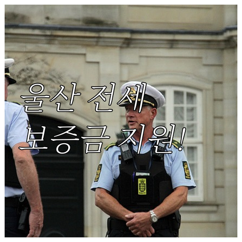 전세 사기 걱정 끝, 2025년 울산시 보증료 지원 받으세요