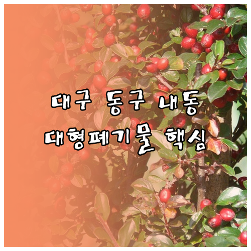 버리기 전 필수 확인! 대구 동구 내동 대형폐기물 핵심