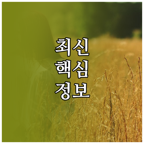 미국 ESTA I-94 수수료 오해 풀고 여행 준비