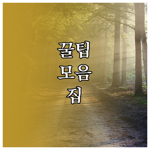 상생페이백 주소 변경 오류 스스로 해결하는 방법