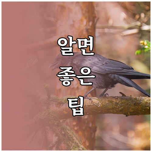 대형폐기물 신고, 아직도 헤매세요? 수성구민 필수 정보