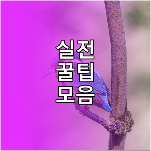 과태료 100만원 막는 법: 대구 북구 대형폐기물 신고 필수