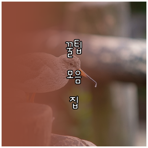 ESTA 외 필수! 미국 가족 여행 경비 항목별 분석