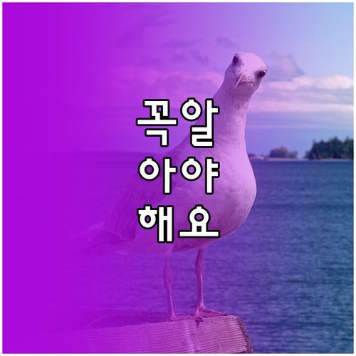 수원 세류동 주민을 위한 생활폐기물 분리배출 핵심