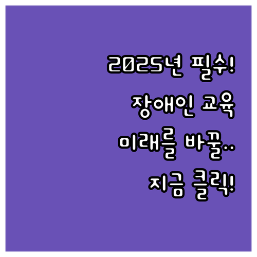 과학기술정보통신부 주관 2025 장애인 정보화 교육