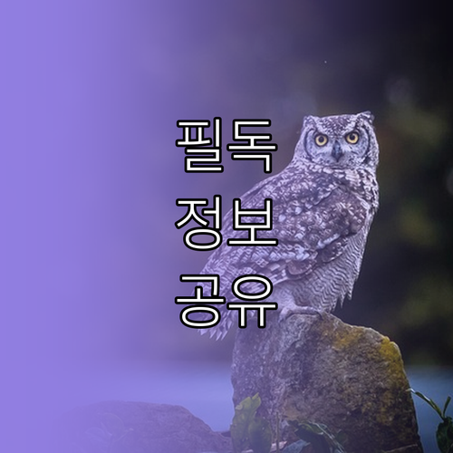 ESTA와 달라요! K-ETA, 승인 후에도 정보 고치는 비밀