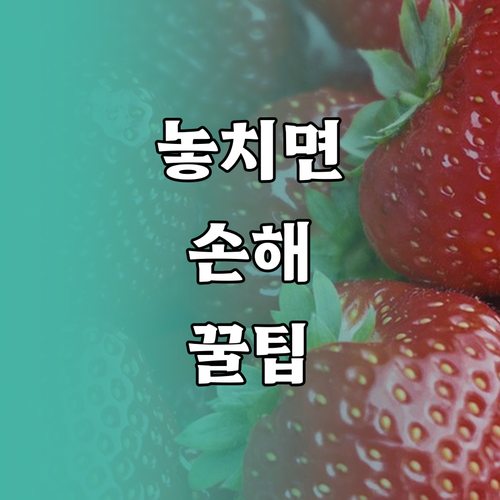 대구 북구 폐기물 신고부터 수거까지 동변동 주민 총정리