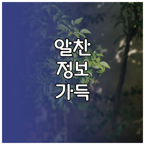 대형폐기물 처리 수성구 온라인 신고 4단계로 끝