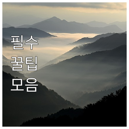 2025 보훈가족 의료혜택 국비 감면 진료 총정리
