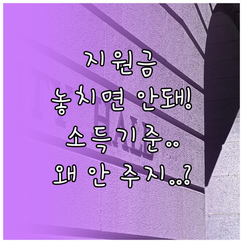 정부 지원금 미지급, 소득 기준 초과부터 정보 오류까지