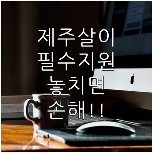 2025 제주도 전월세 지원 사업 대상과 신청 방법 안내