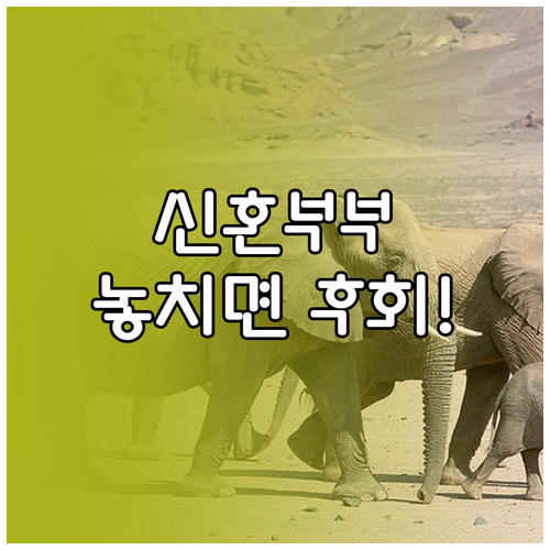 2025 서울시 신혼부부 임차보증금 지원 신청 절차 안내