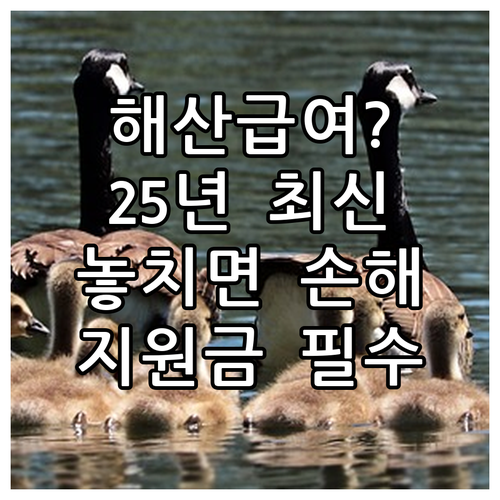 해산급여 2025, 생계·의료·주거 수급자 지원 금액 및 신청 방법