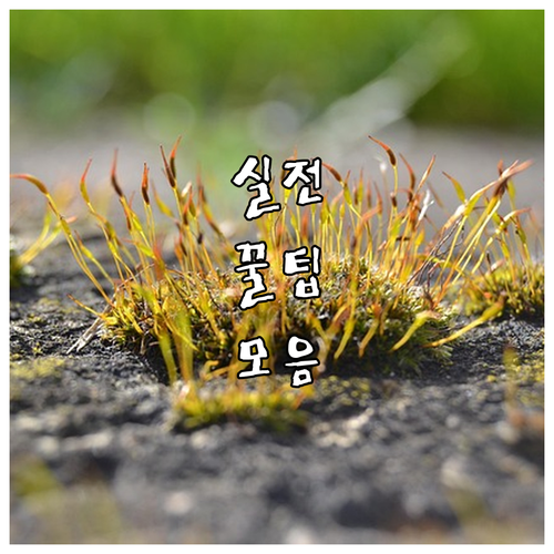 대한법률구조공단 2025 무료 법률 상담 쉬운 신청