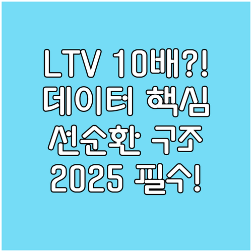 2025년 고객 생애 가치 극대화 데이터 주도형 마케팅 선순환 구조