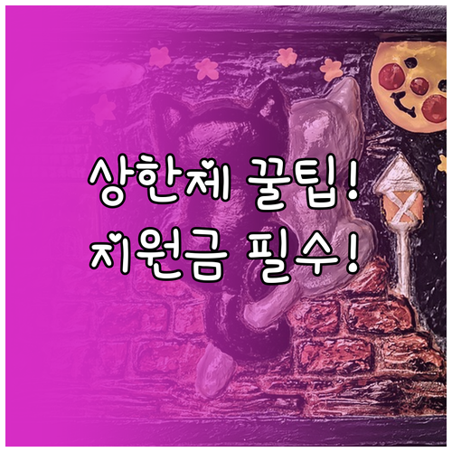 인공관절 수술 환자 부담 최소화 상한제 및 정부 지원금 완벽 분석