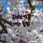 image 77676c96