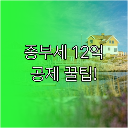 1주택자 종부세 부담 완화 내용 12억 공제와 장기보유 혜택