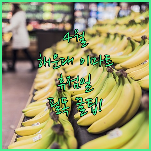 2026년 4월 부산 이마트 해운대점 휴점일과 쇼핑 팁