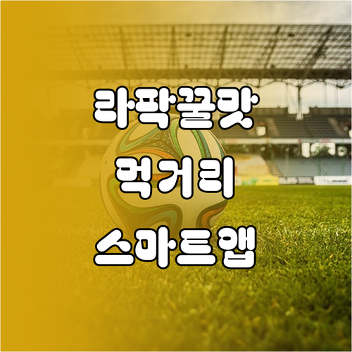 대구 삼성 라이온즈 파크 인기 음식과 스마트 오더 활용법