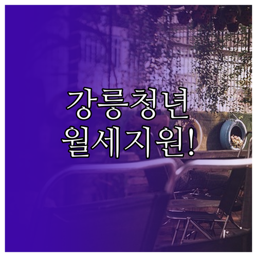 2026 강릉시 청년월세지원 신청 일정과 지급일