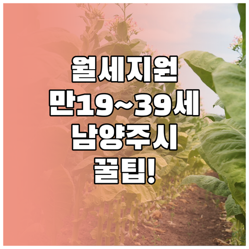 만19세부터 39세 남양주시 청년월세지원 자격과 신청 팁