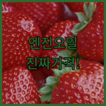 image 66984a6c
