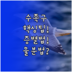 image 8783e4ef