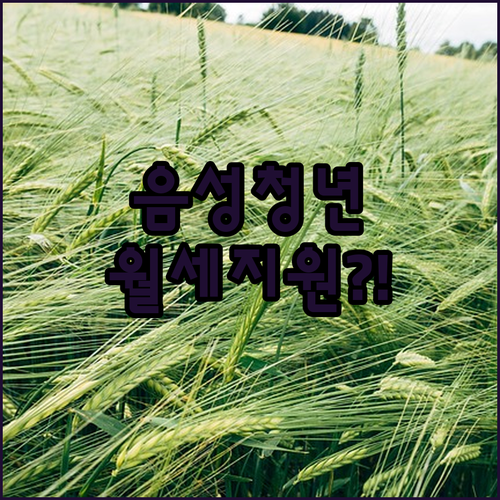 2026년 음성군 청년월세 지원 소득 조건 및 나이